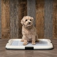 thumbnail image 3 of IRIS Puppy Pee Pad Holder for Dog Potty Training, Holds Pads 23" L x 22.75" W x 1.37" H, Blue, 3 of 8
