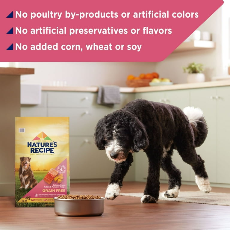 Grain free salmon dog food walmart 2025