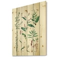 thumbnail image 2 of Designart 'Ancient Plants' Traditional Print on Natural Pine Wood, 2 of 5