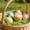 AA1133, variant on Easter Raffia Basket Stuffing Shredable And As Easter Egg Stuffing Creatives Egg Decorations And Gift Wrapping