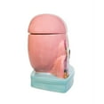 thumbnail image 2 of Kurt Adler I Love Lucy Chocolate Factory Cookie Jar, 2 of 6