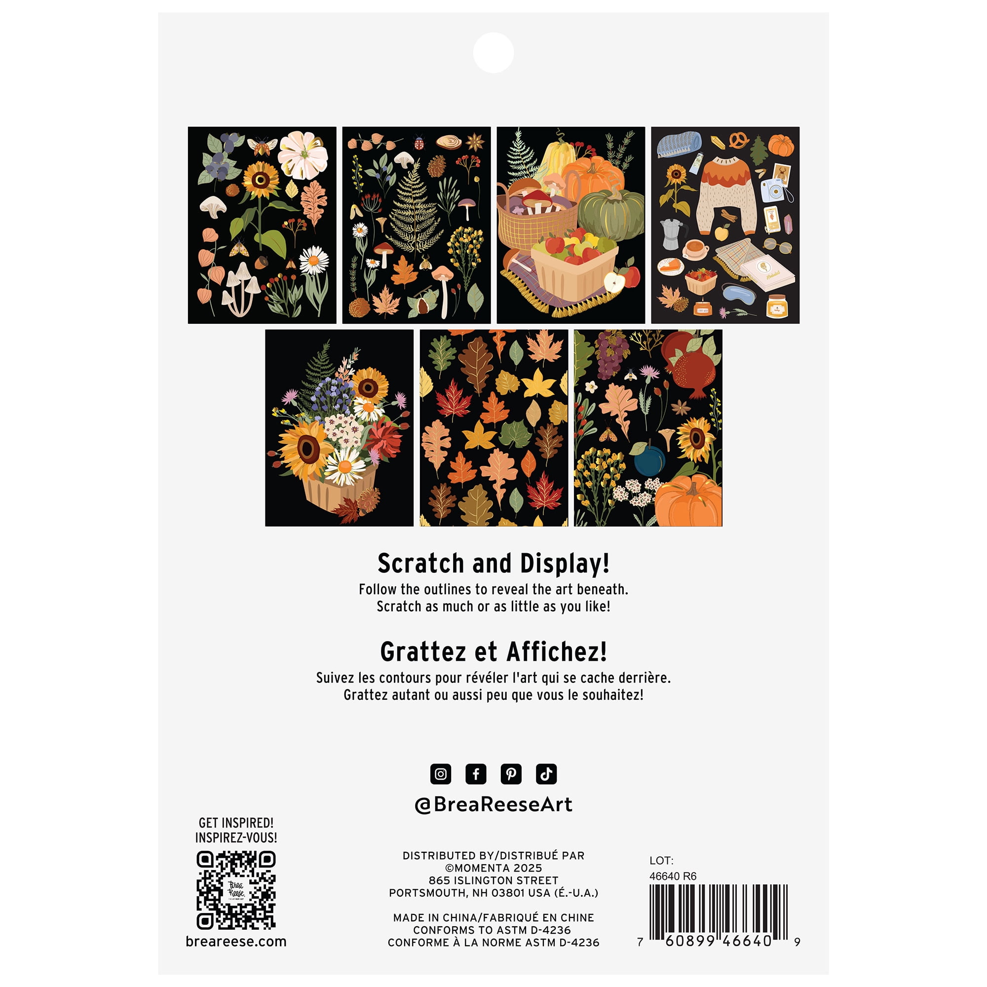 Brea Reese: Scratch Art Paper Pad - Fall Foraging - 14 Sheets, 7 Guided Art Designs, Metallic Accents, Stylus & Brush, 6x8" Pages, DIY Adult Craft Kit