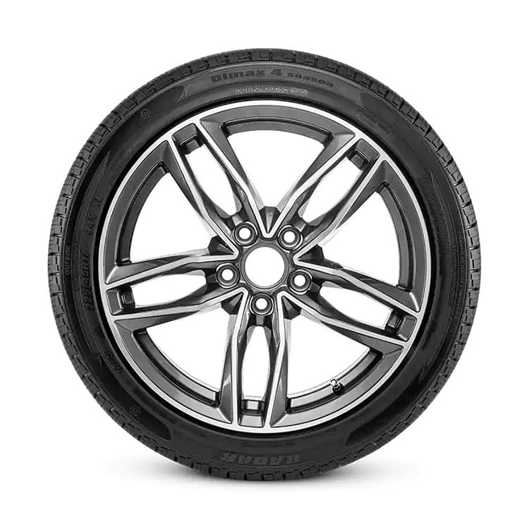 Radar Dimax 4 Season 205/50R17XL 93W BSW Tire