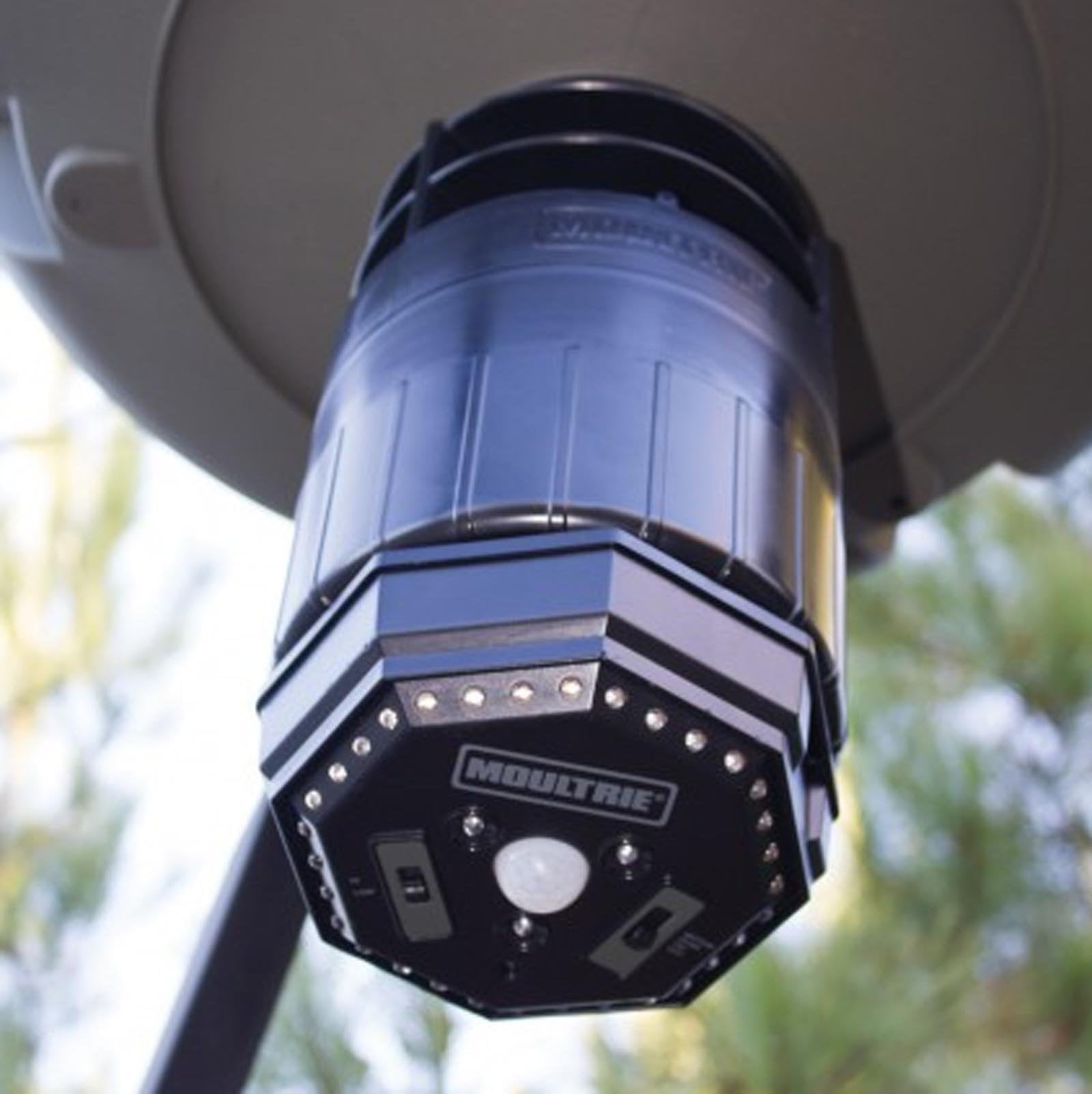 New Moultrie Motion Activated Led Feeder Hog Light W 30ft Radius