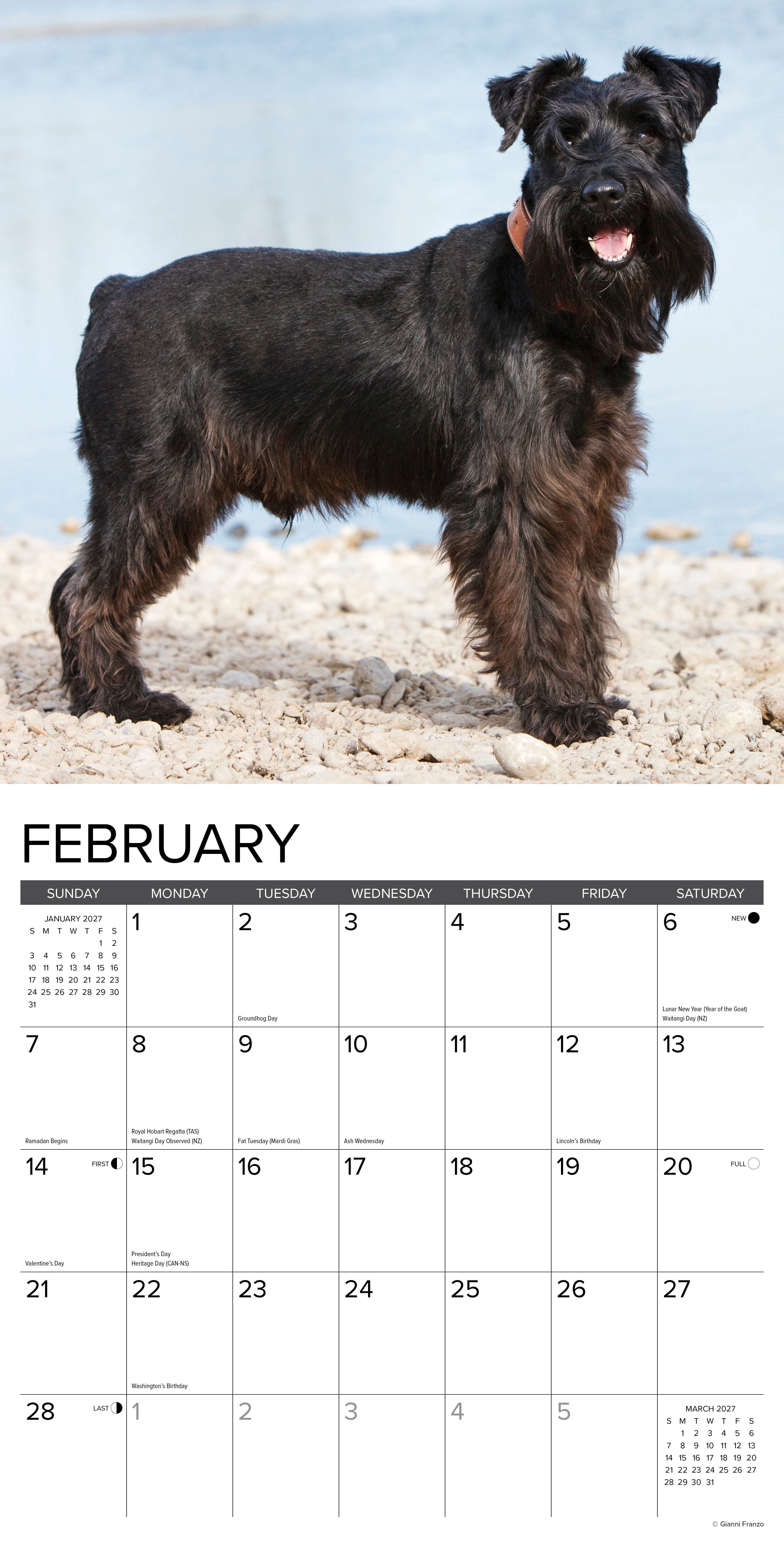 Willow Creek Press, Miniature Schnauzers 2027 Wall Calendar