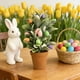 thumbnail image 1 of Decoraciones de Pascua, adornos de Pascua, regalos de Pascua, huevos de Pascua, plantas en macetas, decoraciones de mesa navideñas, jarrones de interior, huevos de espuma, bonsáis de plástico para hue, 1 of 6