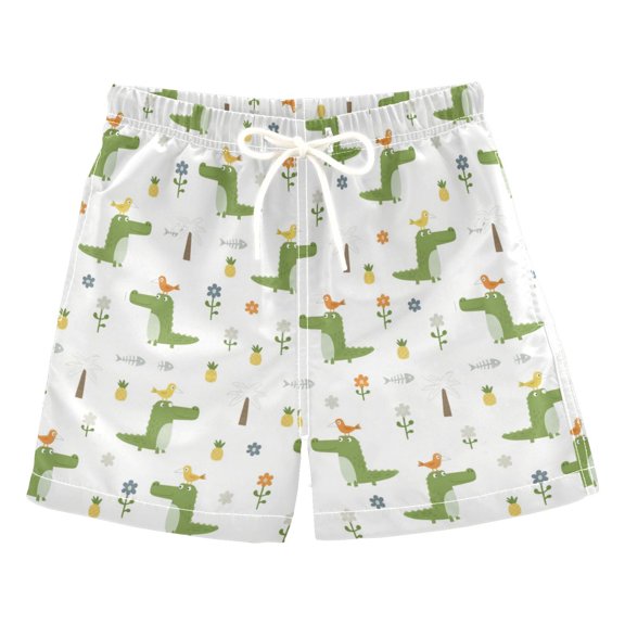 Boys' Swim Trunks Kids Beach Shorts Quick Dry Board Shorts Dinosaurs and Birds 2T