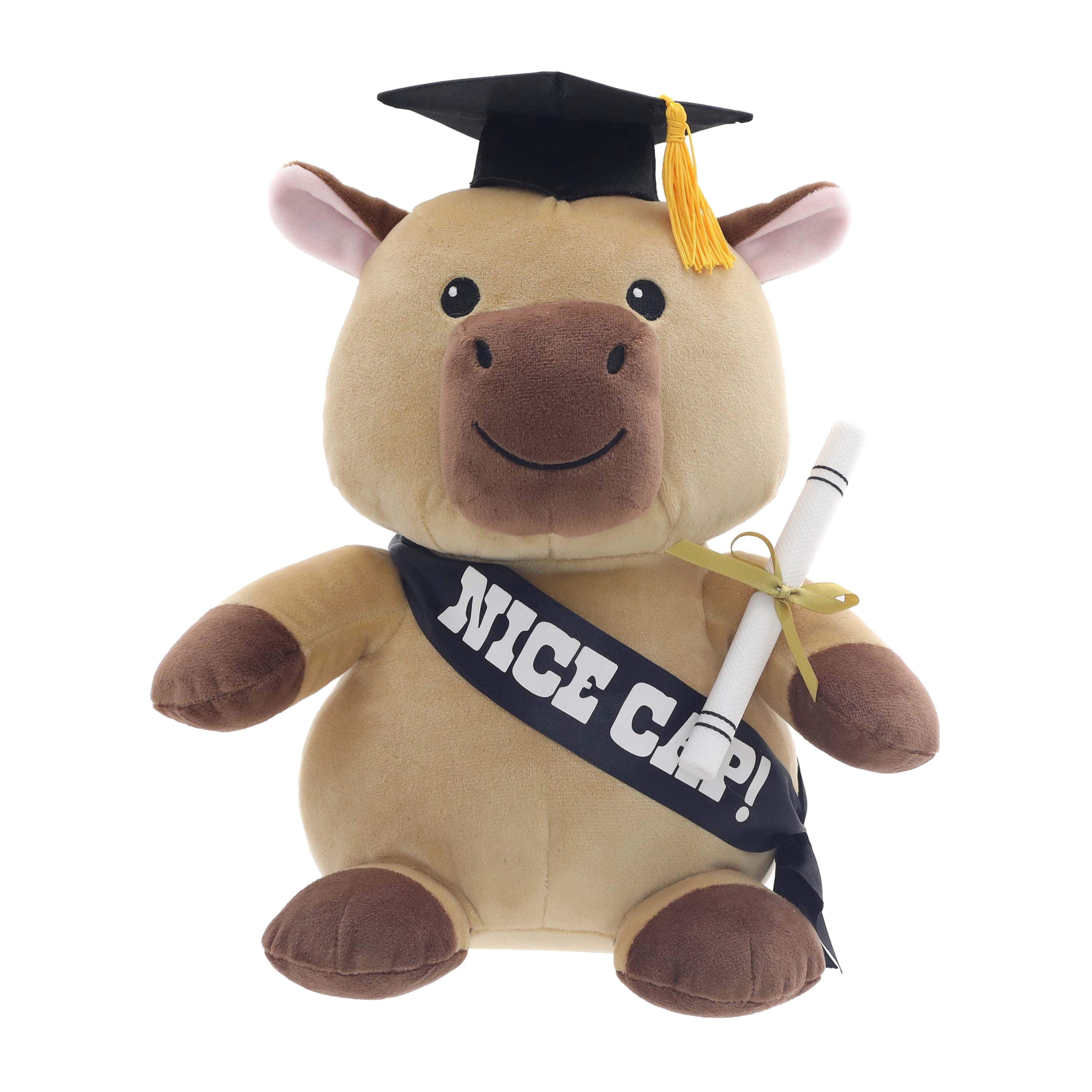 Class of 2026 Graduation Capybara Plush in Gift Box by Way to Celebrate