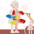 thumbnail image 2 of Ensemble de Jouets Modèle Corps Humain pour Enfants Modèle Anatomie Torse Détachable, 2 of 10