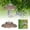 D, variant on Outdoor Bird Feeder Rain Cover Dome Guard for Garden Porch from Water and