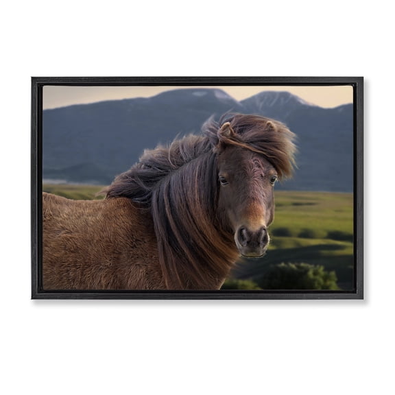 Stupell Industries Farmhouse Windblown Mare in Mountain Valley Black Floating Frame Canvas Art, 25 x 17, by Steve Toole