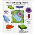 thumbnail image 3 of Ambesonne Science Shower Curtain, Cartoon Science, 69"Wx84"L, Multicolor, 3 of 3