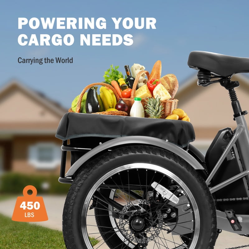 ACTBEST Electric Tricycle for Adults, 750W Motor 48V 15.6Ah Battery, 20" x 3.0" Fat Tire 3-Wheel Electric Bicycle, 7-Speed Step-Thru Electric Trike with Dual Suspension (Gray) with Mirror