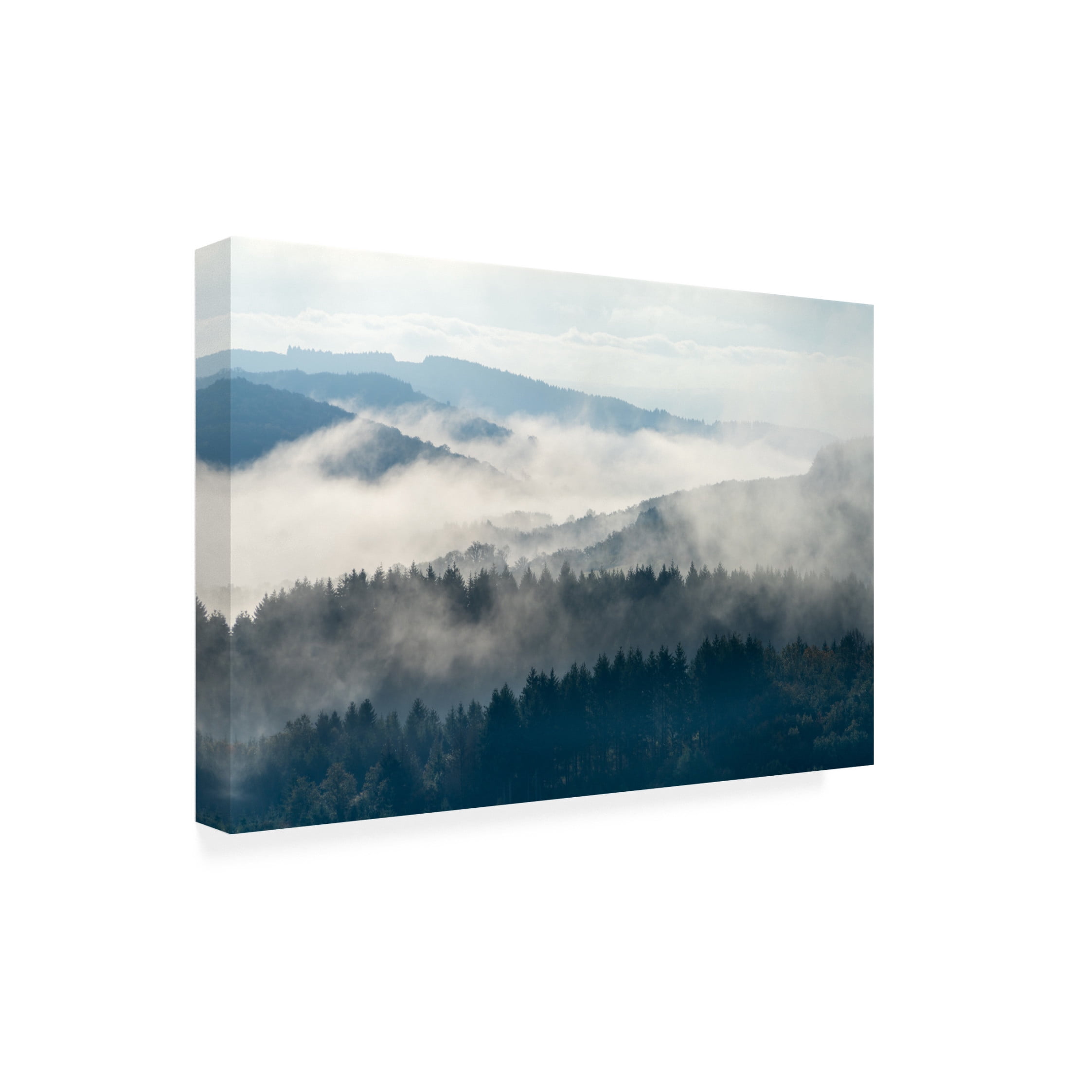 Trademark Fine Art Marleen Wijnen Early Morning At Morvan Canvas Wall Art