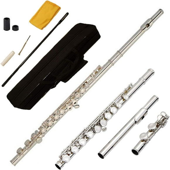 Funion Flute Set C Flute Closed hole With Case Rod Screwdriver Cleaning Cloth Grease Caps Musical Instruments Funion