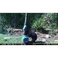 thumbnail image 3 of Black Bear Munchies w added sugar 44lb By Rack Stacker, 3 of 11