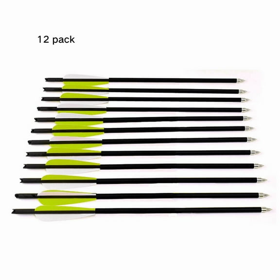 20 Inch Carbon Crossbow Bolts for Hunting Archery, Fluorescent Yellow & White 4" Vanes, Replaceable Arrowhead Tips, Pack of 12