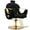 Black, variant on Professional Salon Styling Chair – Reclining Barber Chair with 360° Swivel & Heavy-Duty Hydraulic Pump