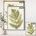 thumbnail image 2 of Simple Forest I - Floral & Botanical Framed Canvas, 2 of 3