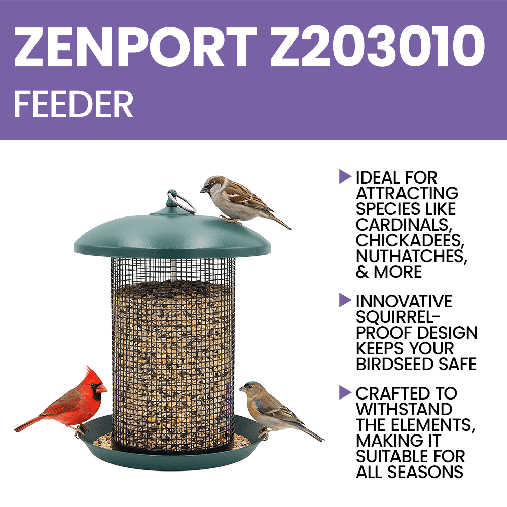 Zenport Z203010 Hanging Bird Seed Screen Feeder, Green