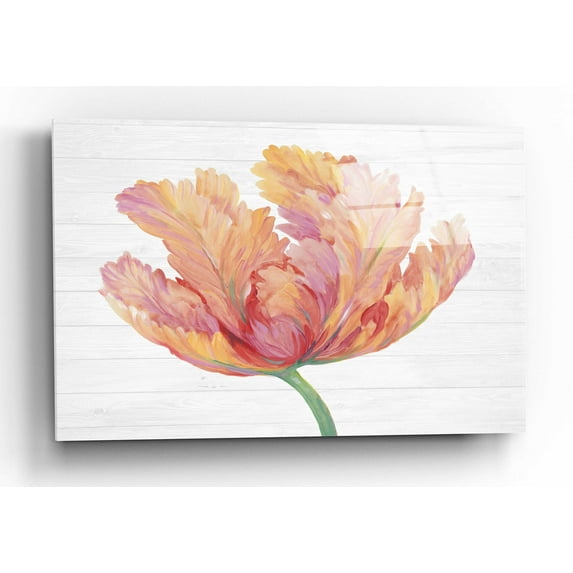 Epic Art 'Single Pink Bloom II' by Tim O'Toole, Acrylic Glass Wall Art, 16"x12"