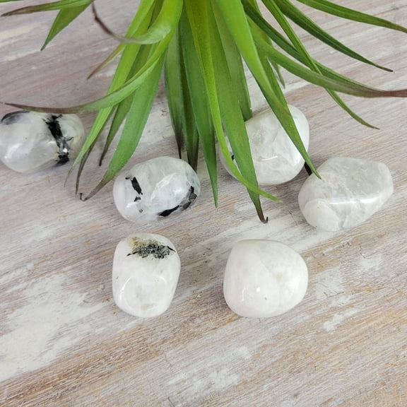 Crystal Joys 1 pc Rainbow Moonstone Tumbled .75" - 1"