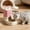 #102Pink, variant on Automatic Pet Feeder for Cats Puppy 2 in 1 Bowl, Large Storage Bin Holds 3 5 Days Dry Kibble, Non Slide Raised Feeding Station for Food and Water Dispenser