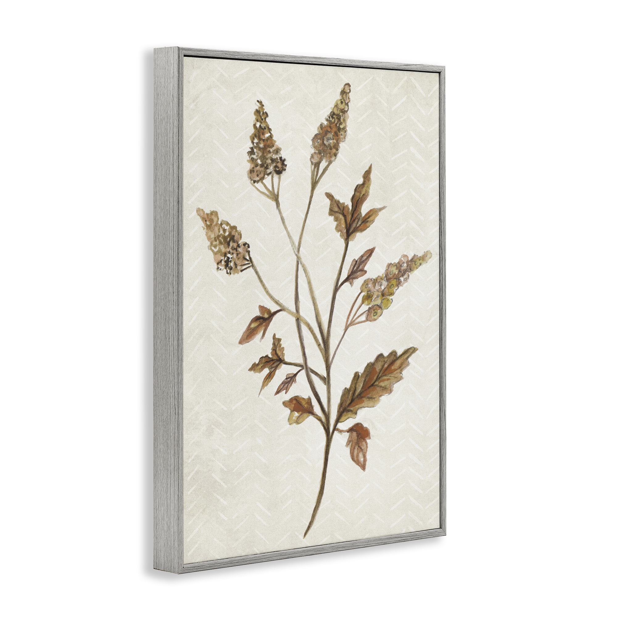 Stupell Industries Neutral Garden Botanics Botanical & Floral Painting Gray Framed Art Print Wall Art, 20 x 30