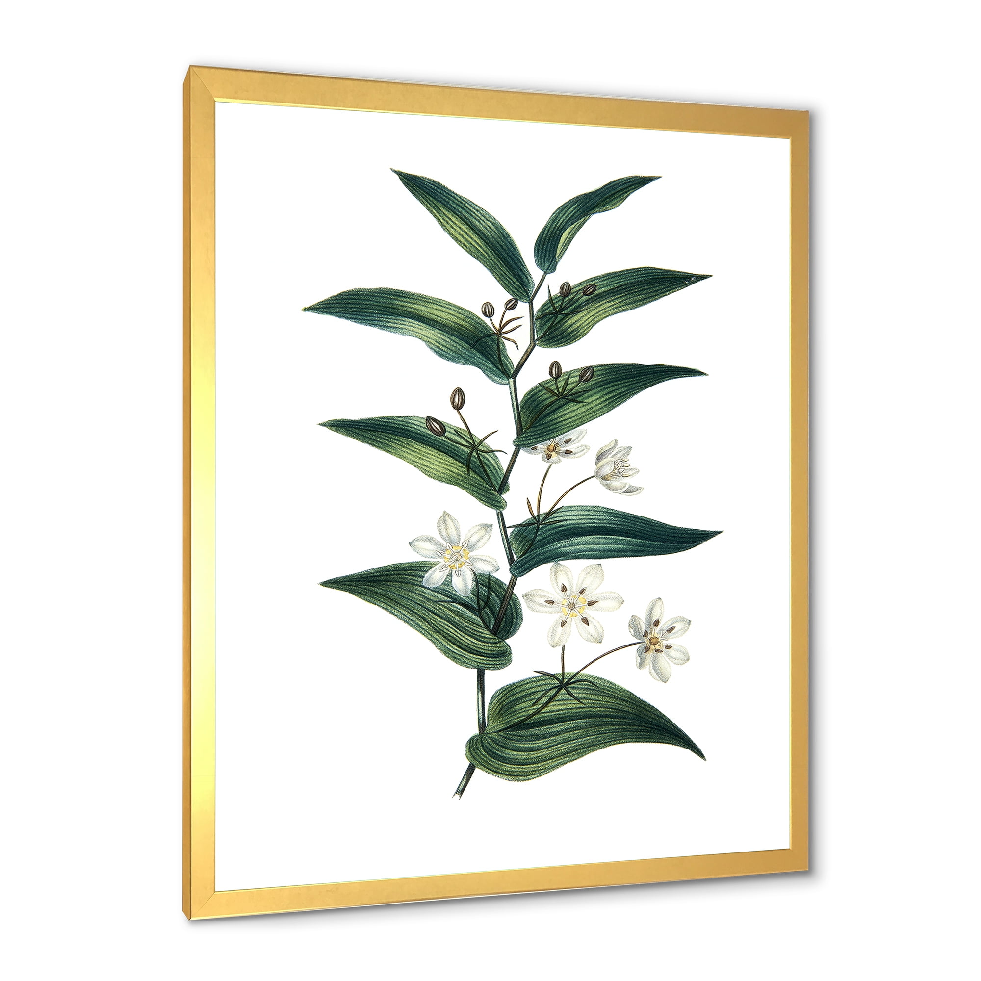 Designart 'Little White Flowers With Ancient Plant' Farmhouse Framed Art Print