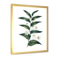 thumbnail image 2 of Designart 'Little White Flowers With Ancient Plant' Farmhouse Framed Art Print, 2 of 4