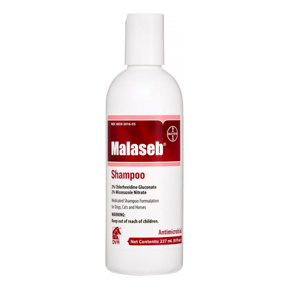MALASEB SHAMPOO 8 oz
