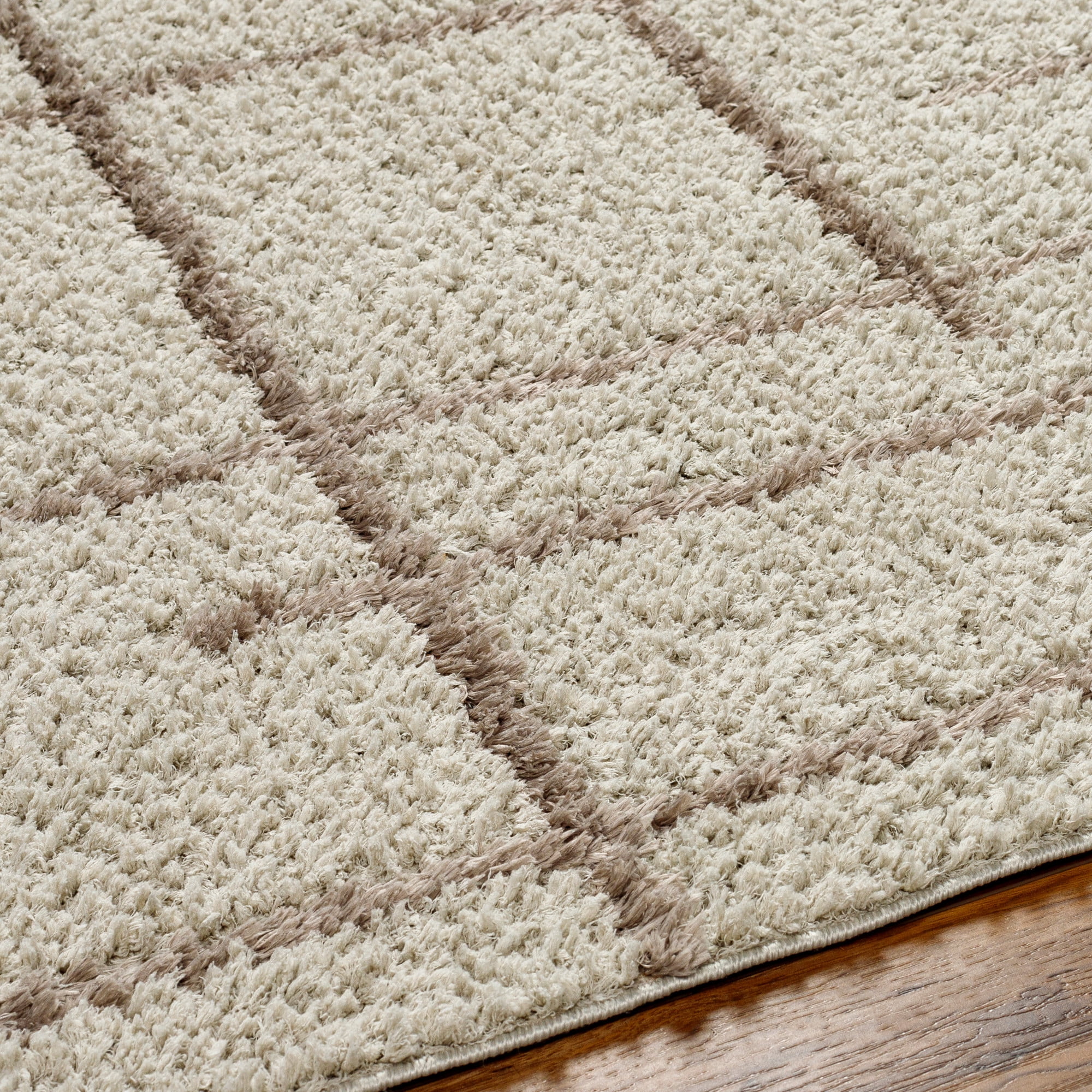 Artistic Wavers Maryland Shag Area Rug, 5'3" x 7', Taupe/Brown