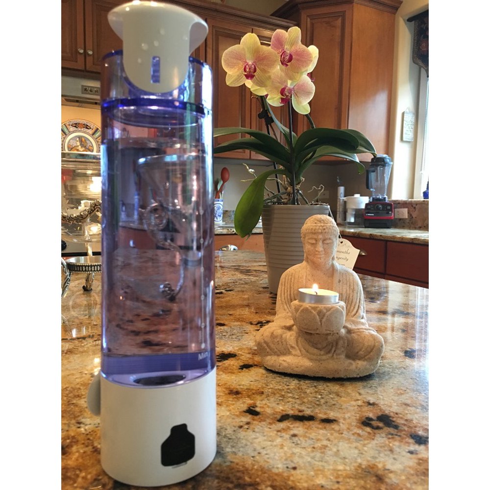 Portable Hydrogen Rich Water Maker PEM 500 ML BlueWater 900 Walmart