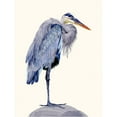 thumbnail image 3 of Wang, Melissa 12x14 Black Modern Framed Museum Art Print Titled - Heron Study II, 3 of 5