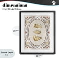 thumbnail image 4 of Stupell Industries Farmhouse Vintage Oyster Trio Black Framed Print Under Glass, 17 x 21, by Vero Illustrates, 4 of 8