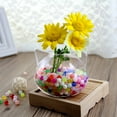 thumbnail image 3 of Cat Shaped Glass Vase Hydroponic Plant Flower Vase Terrarium Container Pot Decor Art Gift, 3 of 6
