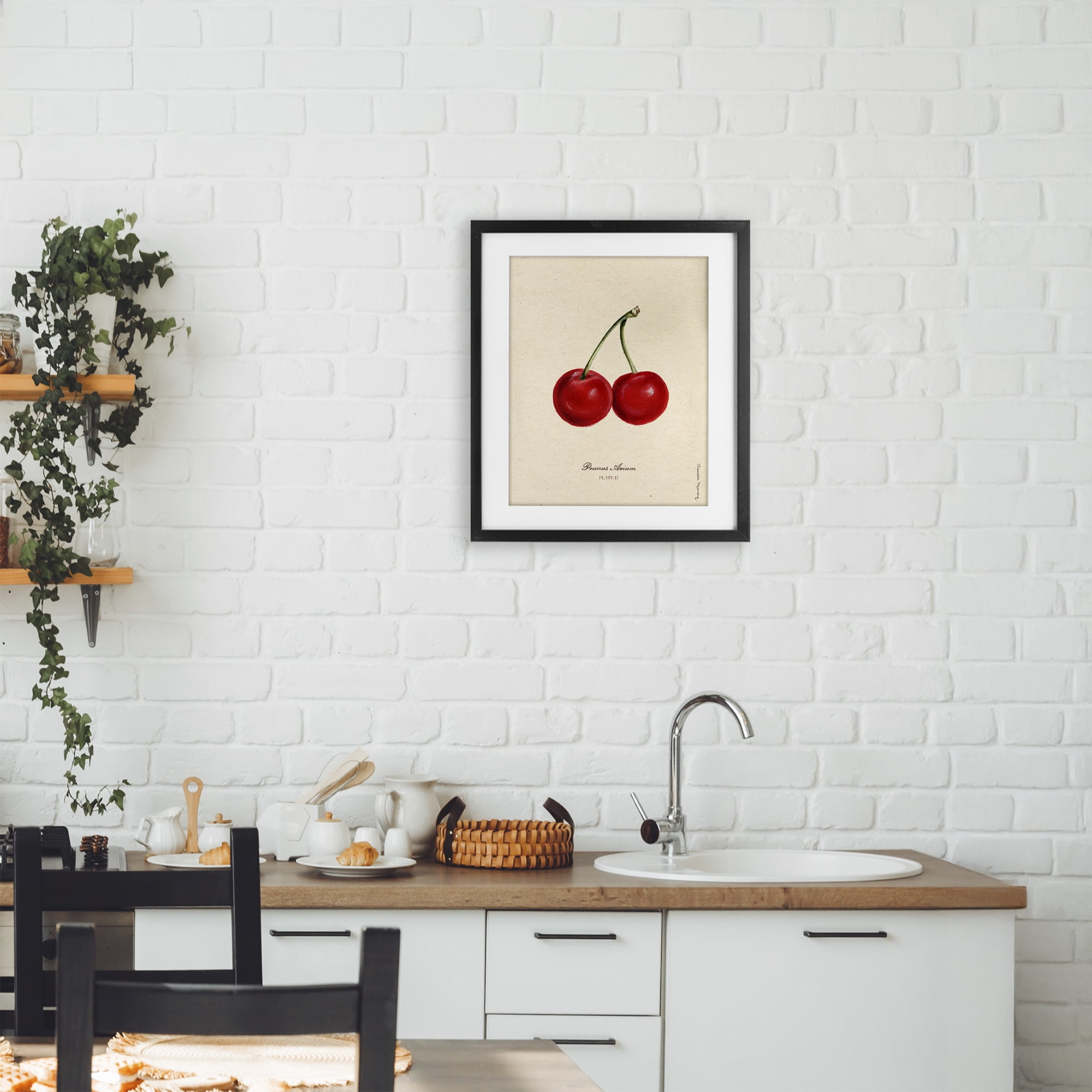 Stupell Industries Cherry Fruit Portrait Black Framed Print Under Glass, design by Danielle Murray