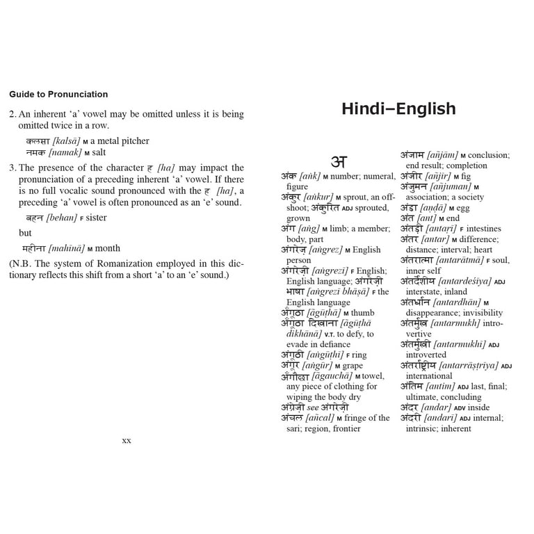 Tuttle Mini Dictionary: Mini Hindi Dictionary: Hindi-English /  English-Hindi (Paperback)