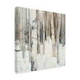 thumbnail image 3 of Trademark Fine Art Julia Purinton Warm Winter Light I Canvas Wall Art - 35x35, 3 of 5