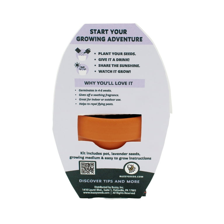 食器・餌やり・水やり用品 lavender Buzzy Lavender Herb Terra Cotta Grow Kit - Walmart.com