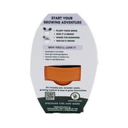 Buzzy Lavender Herb Terra Cotta Grow Kit