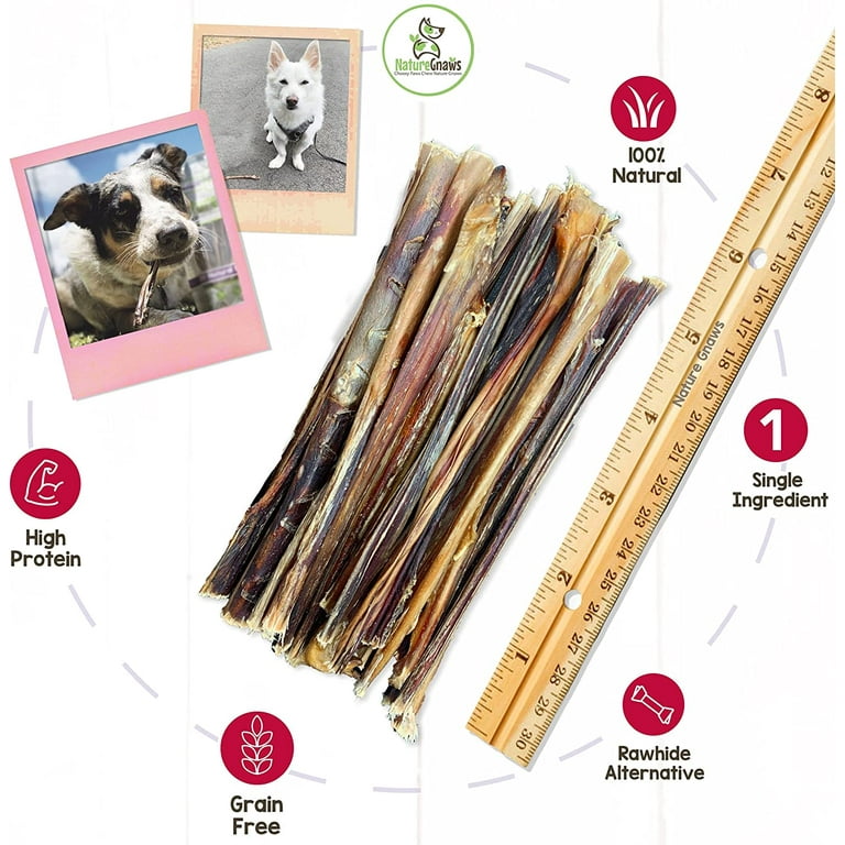 Nature gnaws small bully sticks 2025