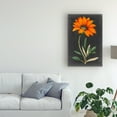 thumbnail image 3 of Trademark Fine Art 'Dramatic Floral I' Canvas Art by Curtis, 3 of 3