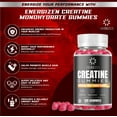 thumbnail image 4 of Creatine Monohydrate Gummies – Tropical Fruit Punch Flavor | 5g Creatine Per Serving | Vegetarian, Kosher, Halal, Gluten-Free, Gelatin-Free, Natural Flavors & Colors., 4 of 5
