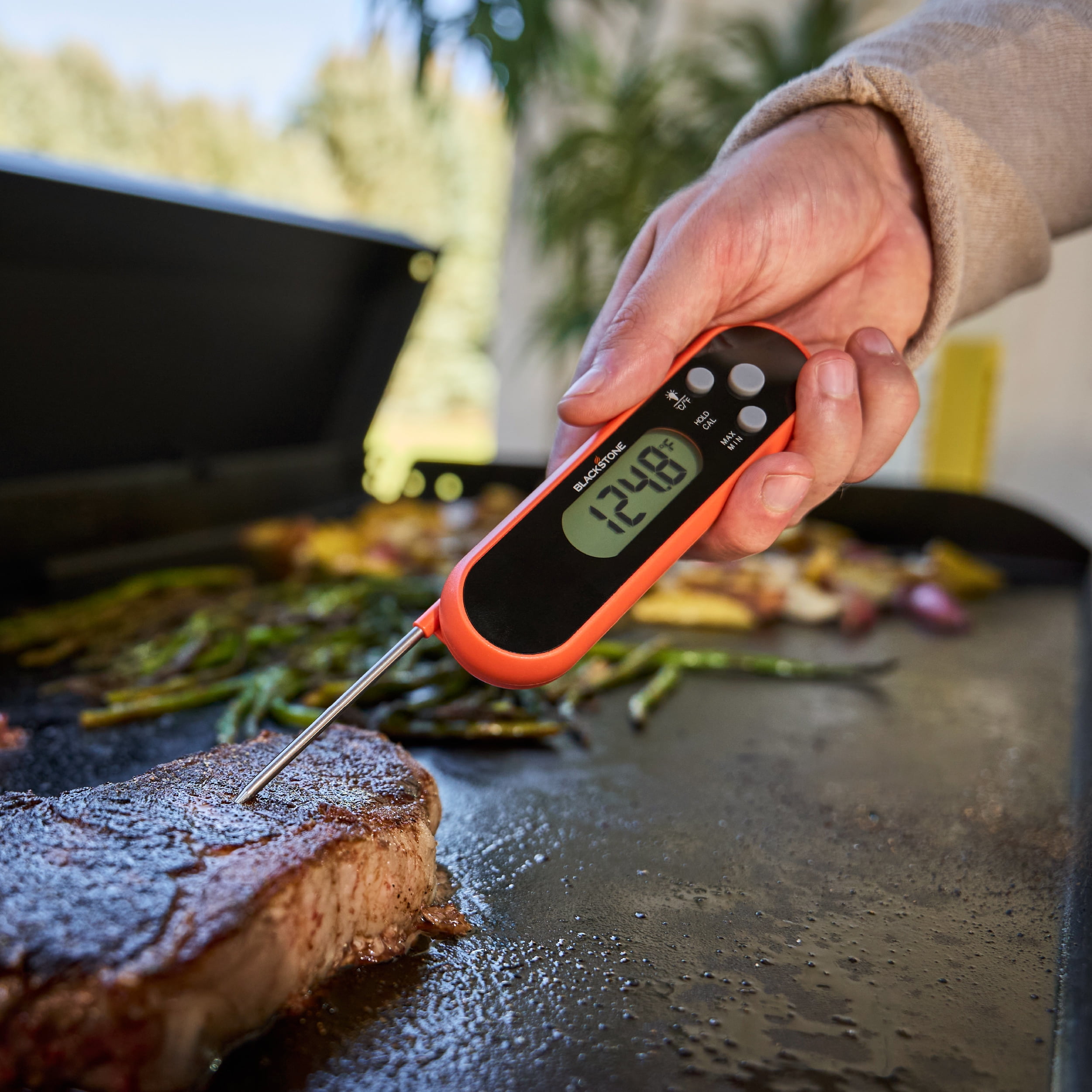 Blackstone Folding Probe Thermometer