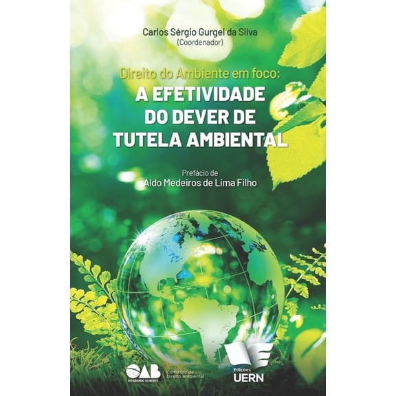 Direito Ambiental em foco: a efetividade do dever de tutela ambiental, (Paperback)
