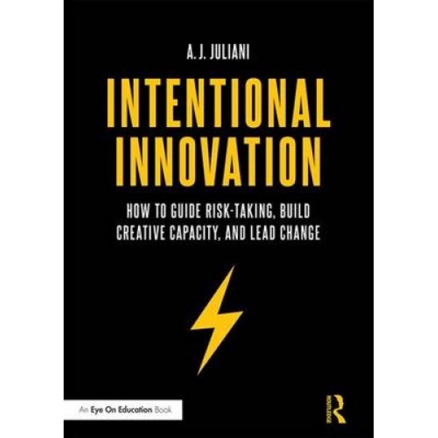 The Intentional Innovation: How to Guide Risk-Taking, Build Creative Capacity, and Lead Change