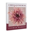 thumbnail image 2 of Stupell Industries Contemporary Chrysanthemum Flower Market Canvas Art, 16 x 20, by Jennifer Stith, 2 of 8