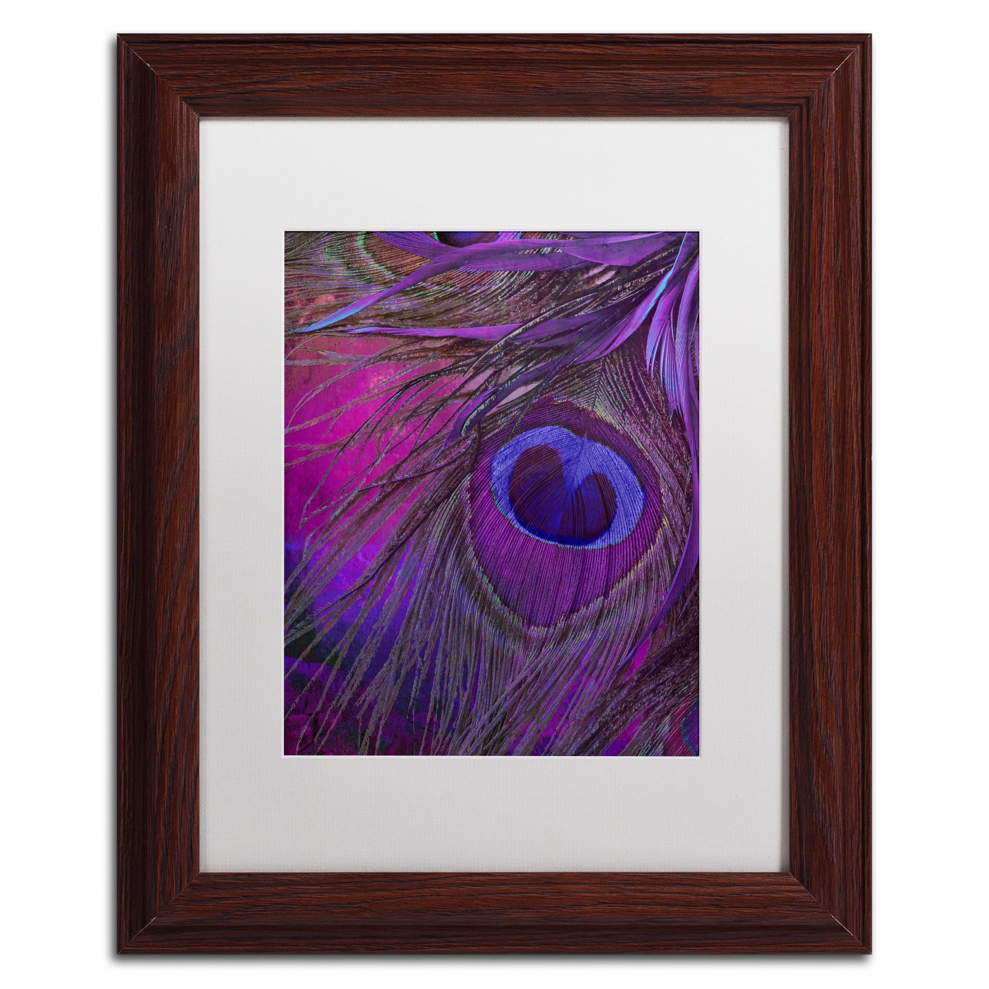 Trademark Fine Art "Peacock Candy IV" Canvas Art by Color Bakery White Matte, Wood Frame
