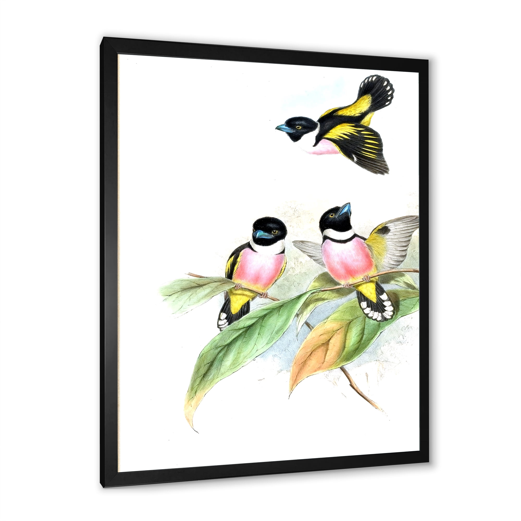 Designart 'Ancient Birds III' Traditional Framed Art Print